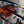Future Tech Z87+ Hoonigan Pol Sun